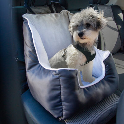 Pet Car Booster Seat