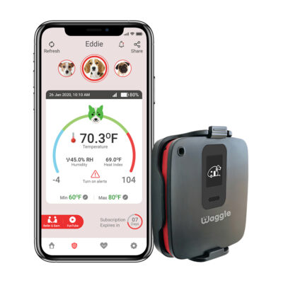 Waggle RV Pet Monitor 4G Lite