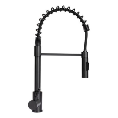 Lippert Coiled Pull-Down Faucet, Black Matte