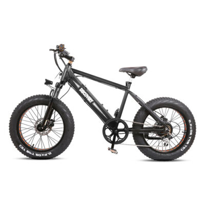 GlareWheel 20″ Fat Tire Electric Bicycle EB-X7