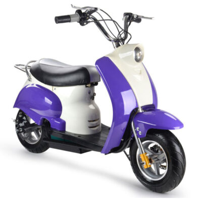 MotoTec 24V Electric Moped