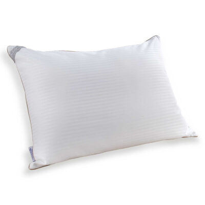 Indulgence Traditional Pillow – Standard/Queen