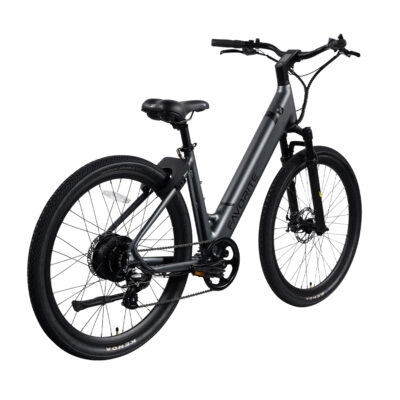 Favorite Hybrid ST E-Bike