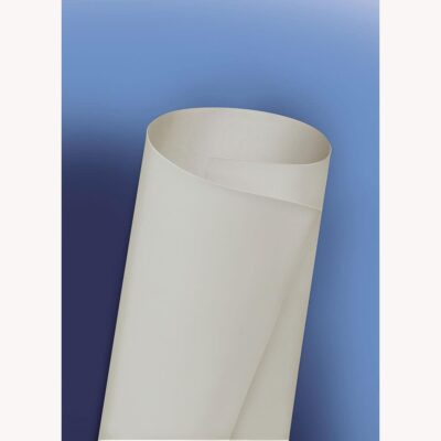 Dicor DiFlex II TPO Roof Membranes for Slideouts